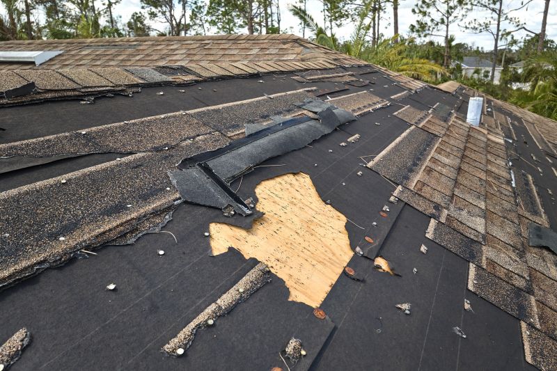 Roof Sheathing Damage