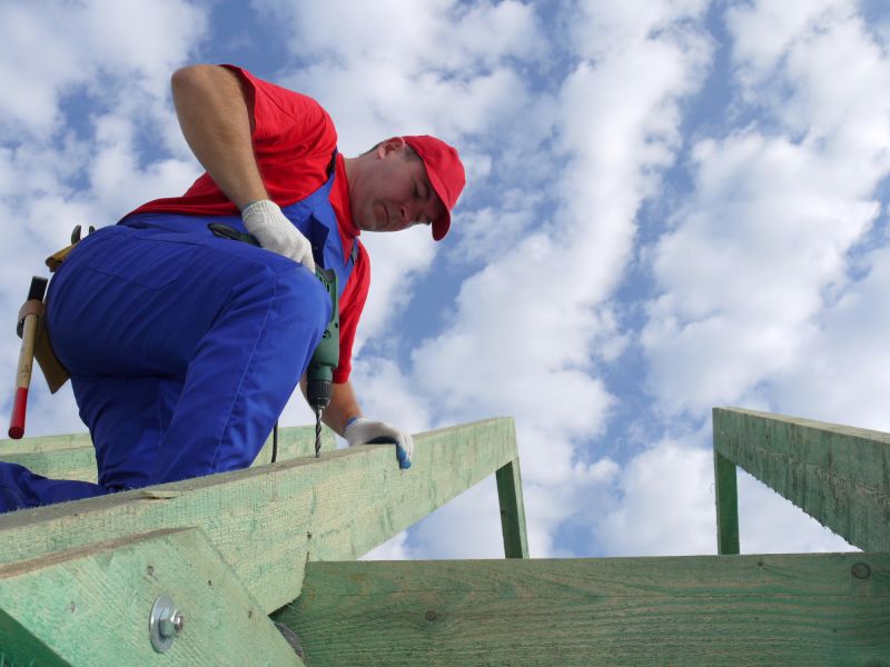 Products For Rafter Repairs in use