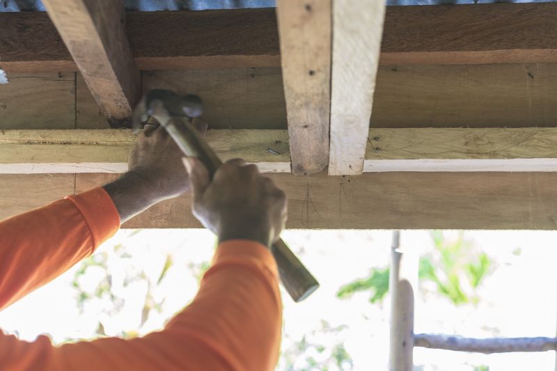 Rafter Repair