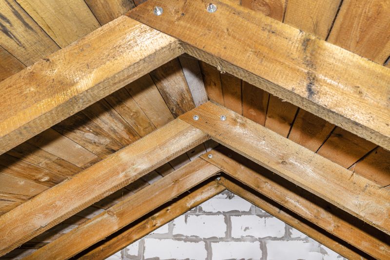 Rafter Repair