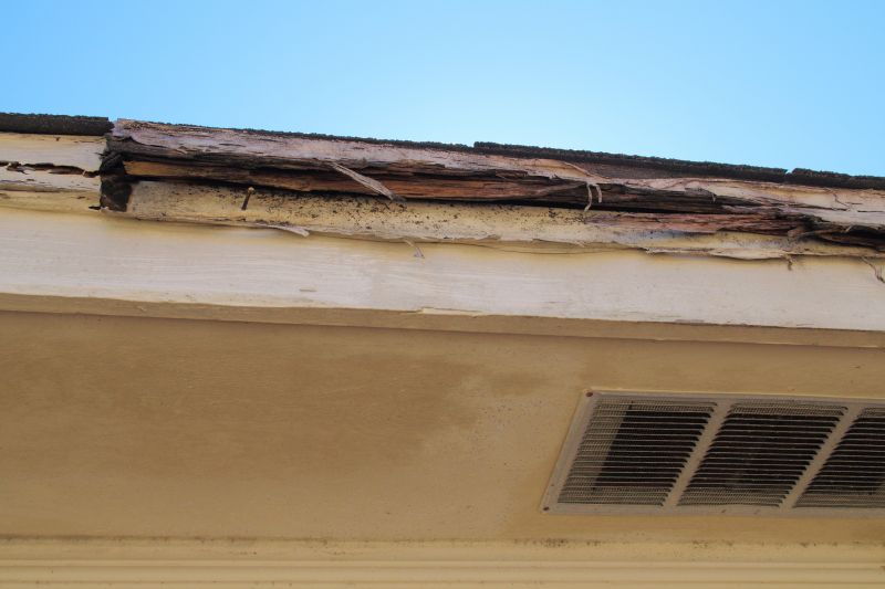 Rafter Repair