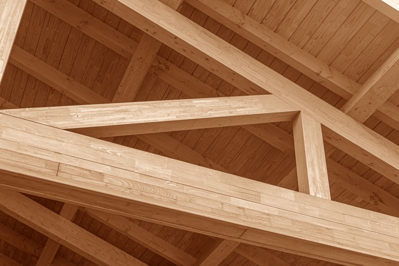 Professional Inspection of Rafters